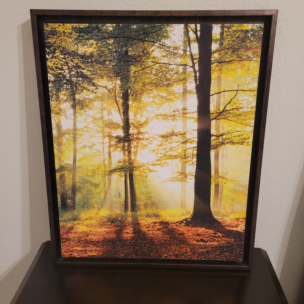 Framed Forest Sunrise Wall Art